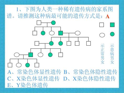 凌 的系谱 从母亲到女儿的贝尔多尔调教 百合园美里 .